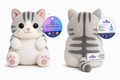 (Chubbies) Cat